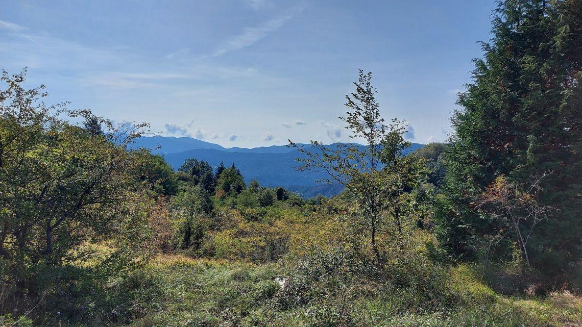 Immagine 8 di Villa in vendita  a Carro