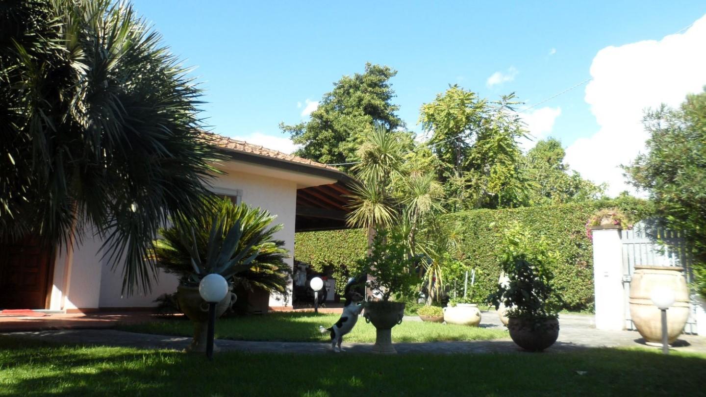 Foto annuncio 9