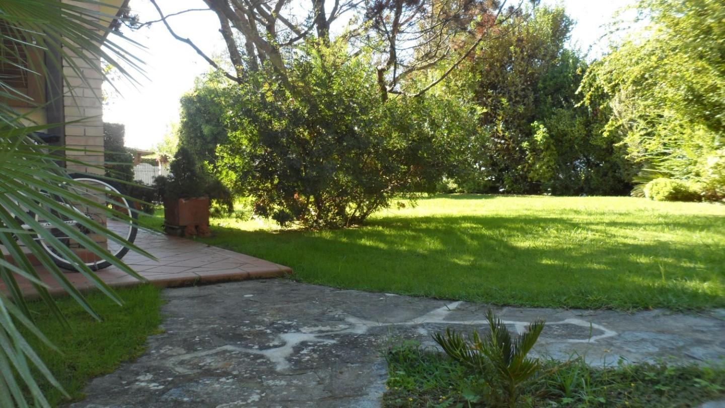 Foto annuncio 22