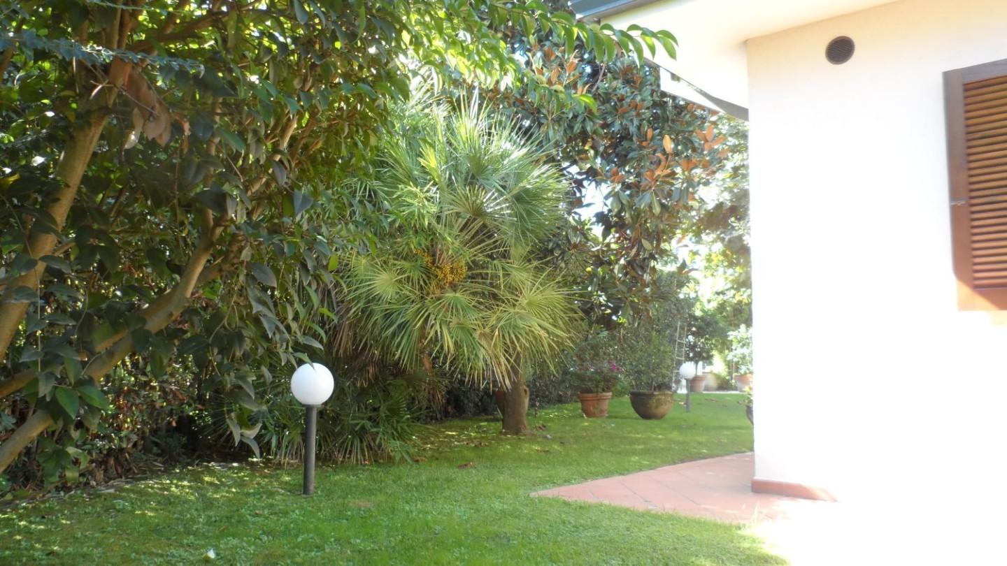 Foto annuncio 7