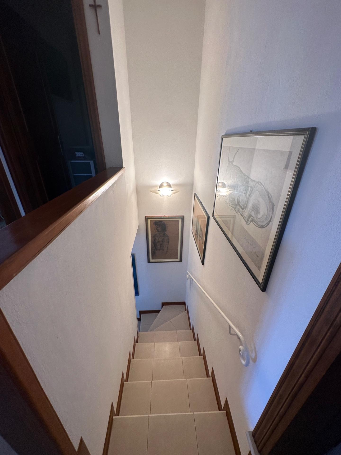 Immagine 19 di Casa indipendente in affitto  a Forte Dei Marmi