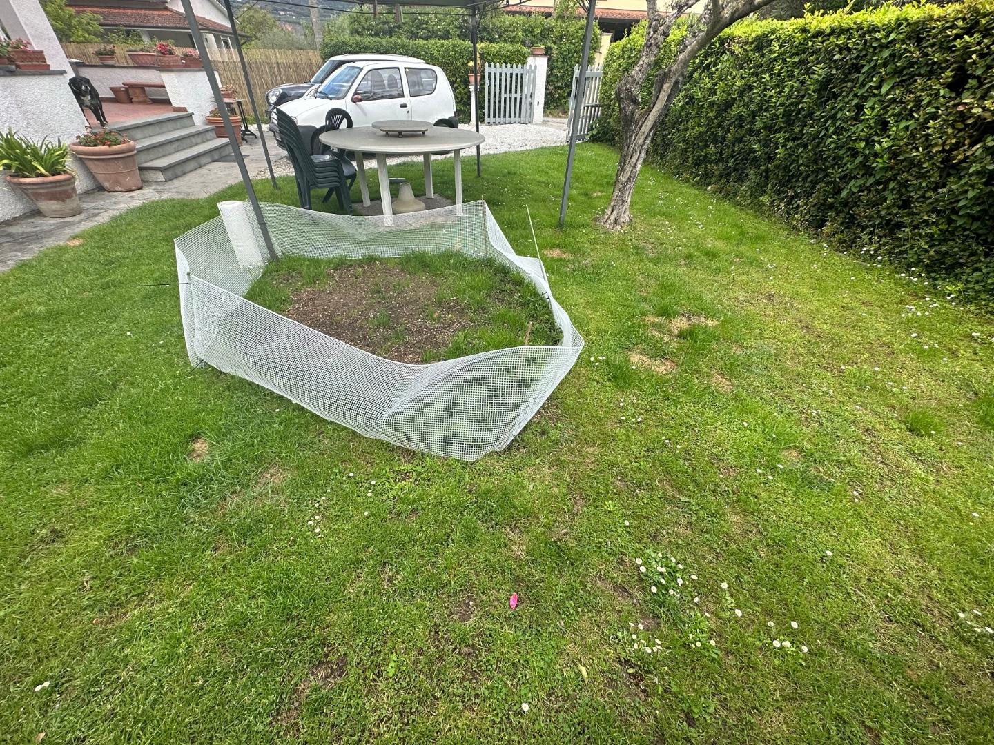 Immagine 8 di Casa indipendente in affitto  a Forte Dei Marmi