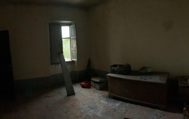 Immagine 11 di Terratetto in vendita  a Vecchiano