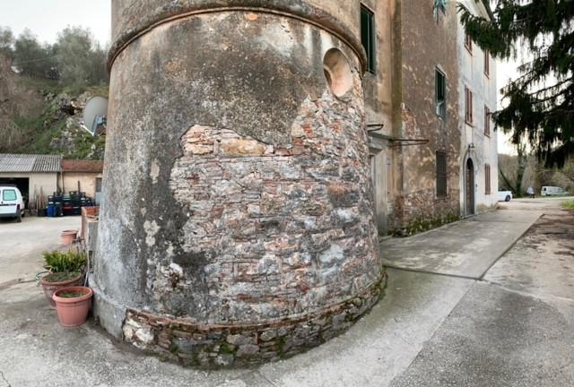 Immagine 16 di Terratetto in vendita  a Vecchiano