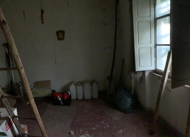 Immagine 10 di Terratetto in vendita  a Vecchiano