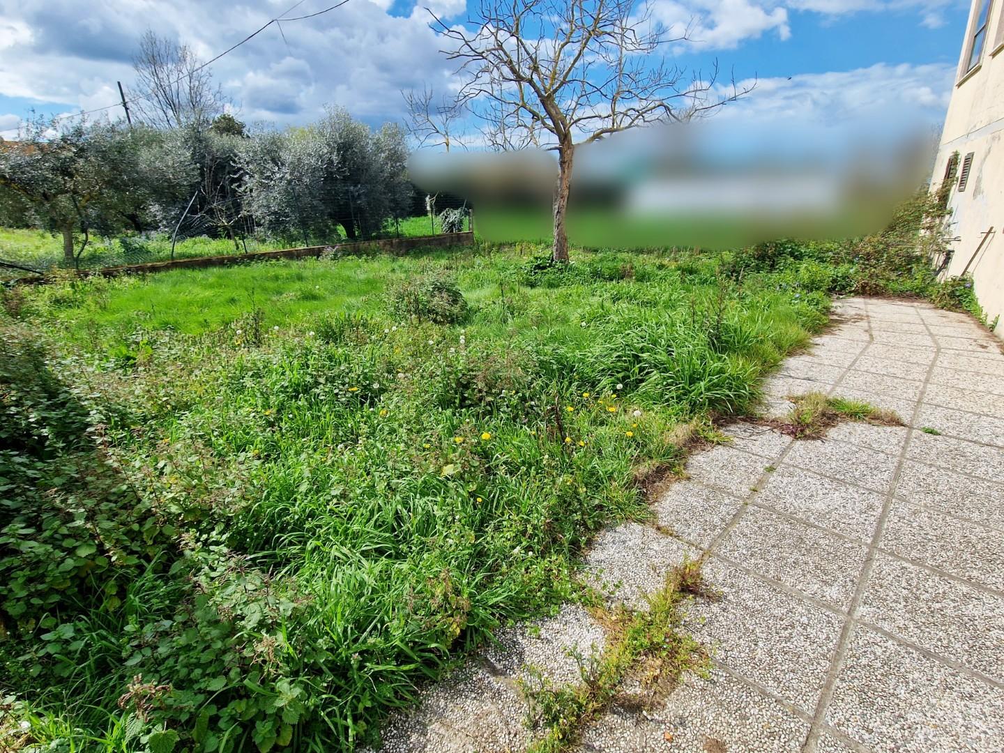 Immagine 4 di Casa indipendente in vendita  a Pisa
