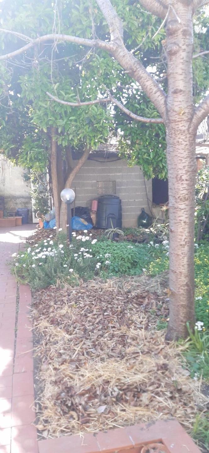 Immagine 1 di Terratetto in vendita  a Pisa