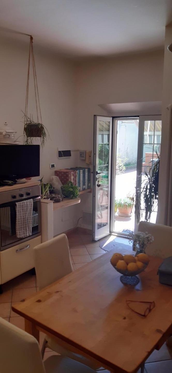 Immagine 3 di Terratetto in vendita  a Pisa