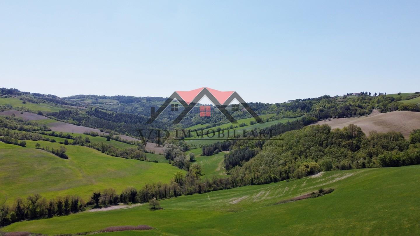Foto annuncio 9