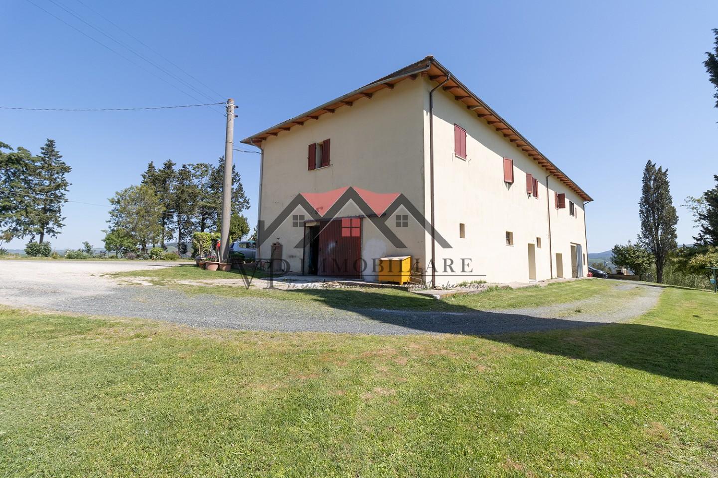 Foto annuncio 11