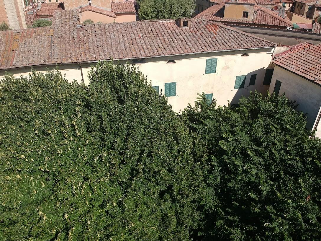 Immagine 7 di Albergo/B&B/Residence in vendita  a Pisa