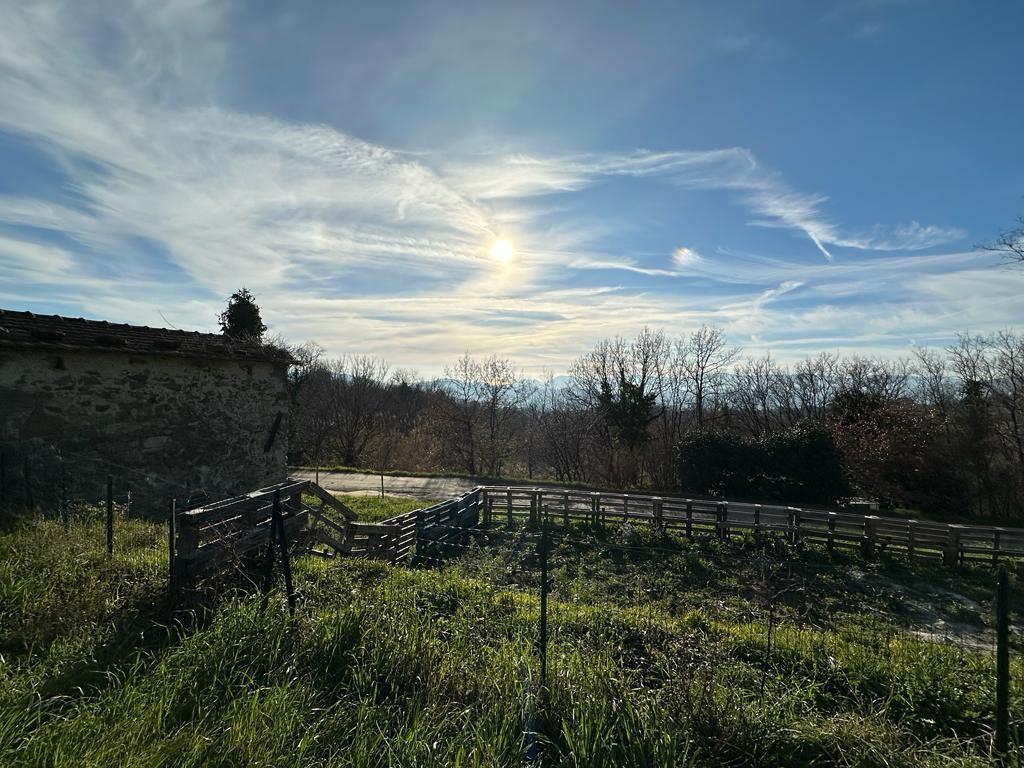 Immagine 35 di Villa in vendita  a Sarzana