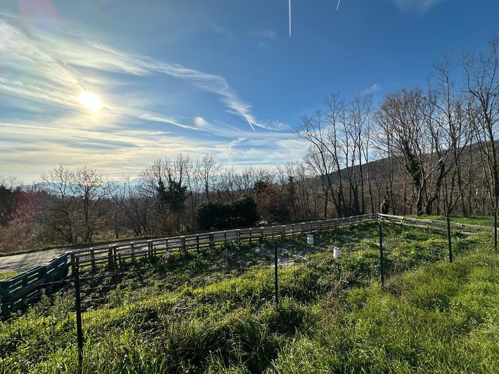Immagine 34 di Villa in vendita  a Sarzana
