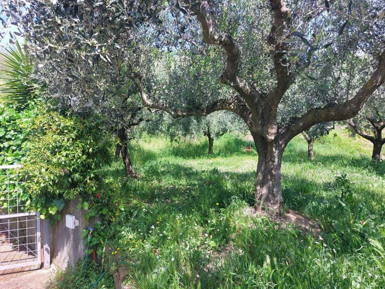 Immagine 12 di Villa in vendita  a Sarzana