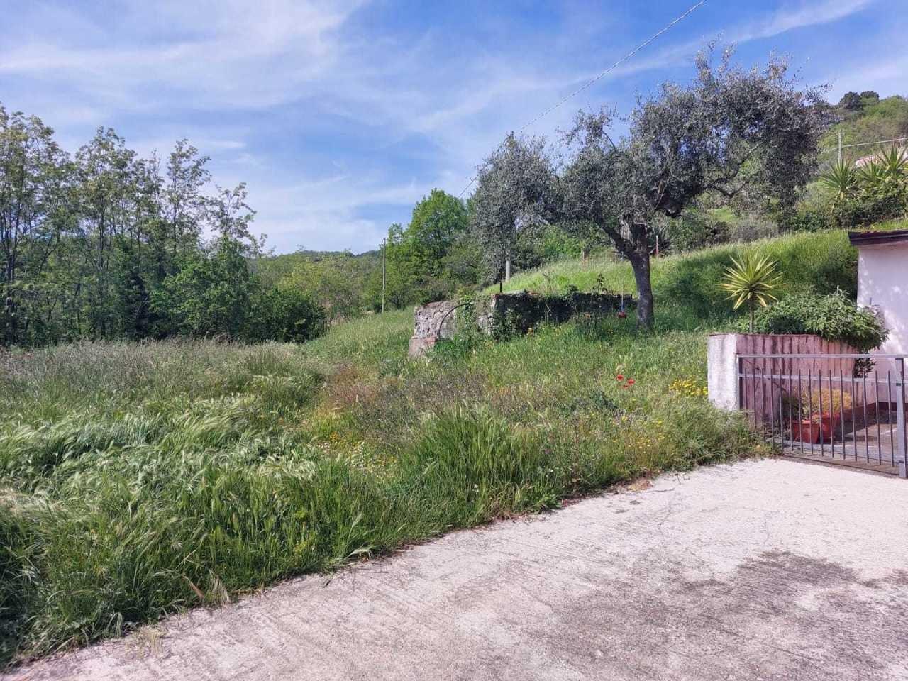 Immagine 7 di Villa in vendita  a Sarzana