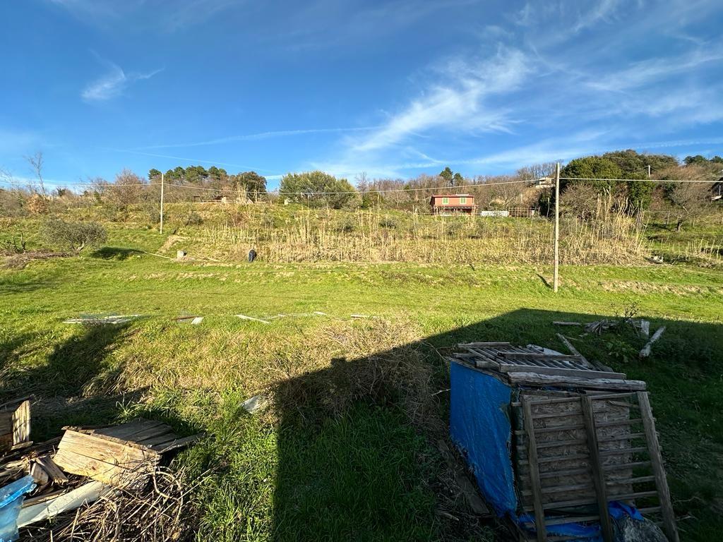 Immagine 40 di Villa in vendita  a Sarzana