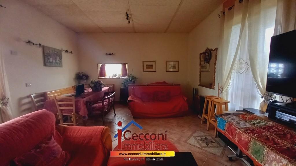 Foto annuncio 8