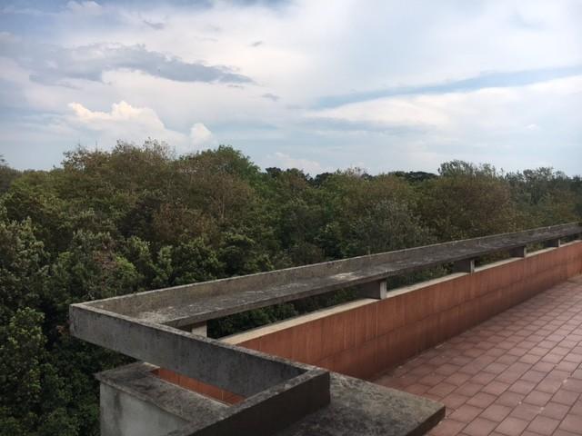 Foto annuncio 20