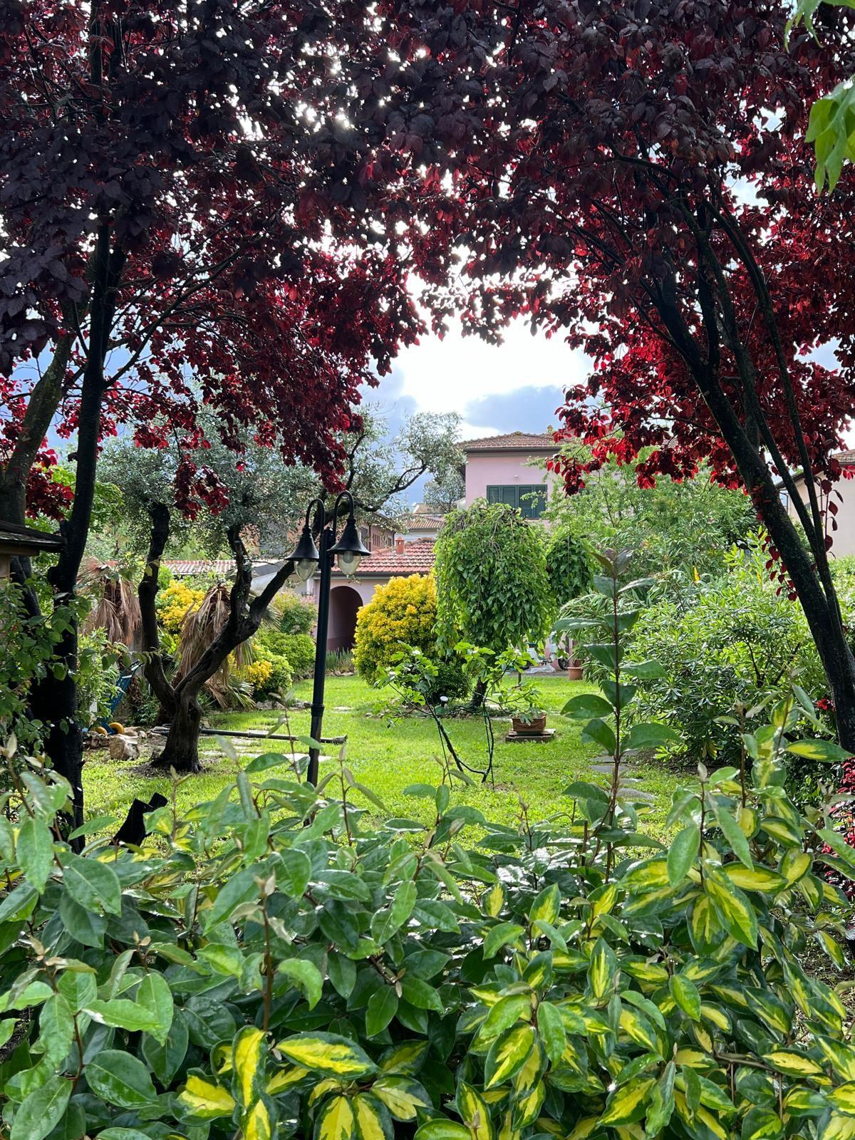 Immagine 3 di Villa in vendita  a Pisa