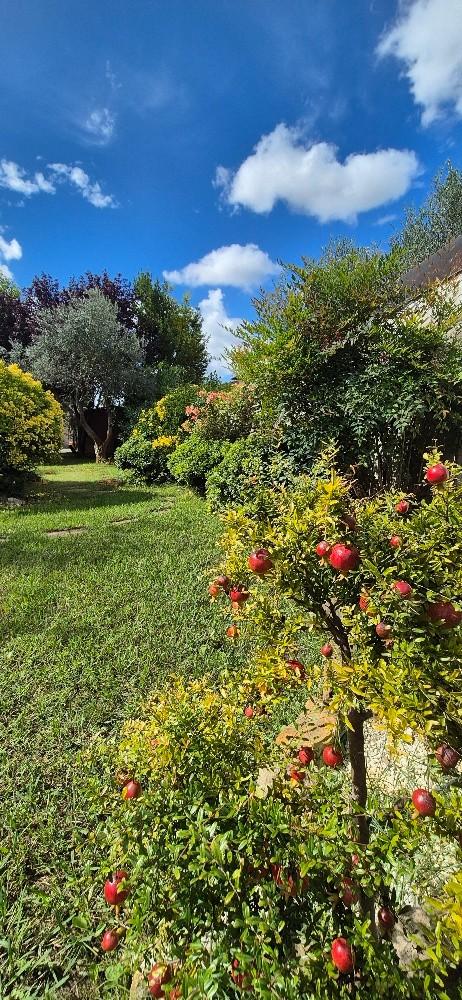 Immagine 5 di Villa in vendita  a Pisa