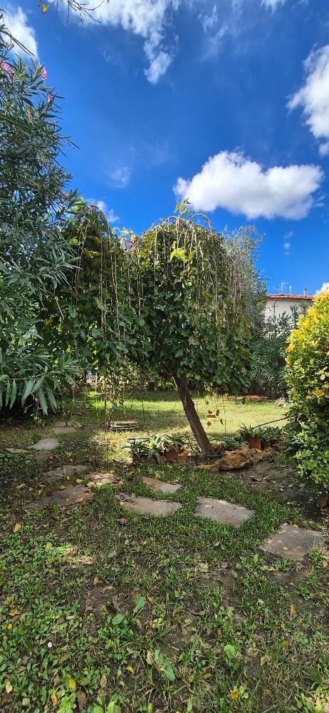 Immagine 42 di Villa in vendita  a Pisa