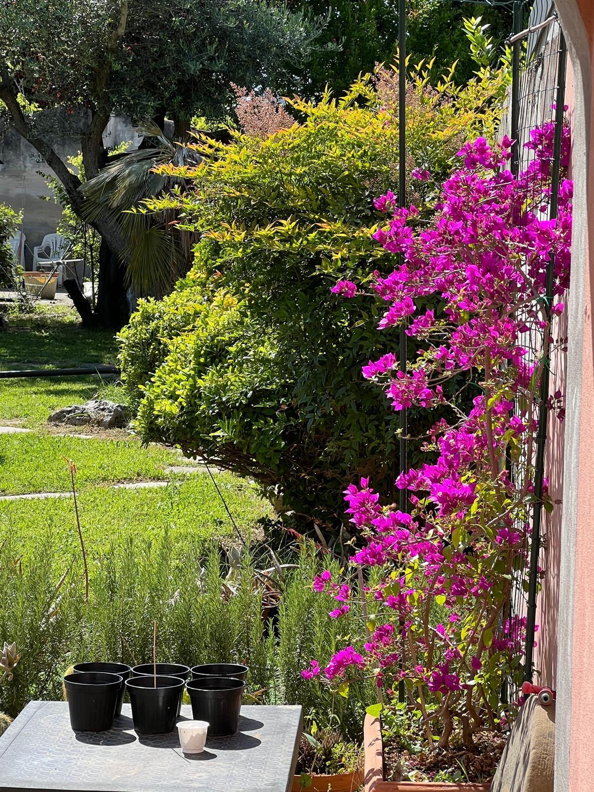 Immagine 4 di Villa in vendita  a Pisa