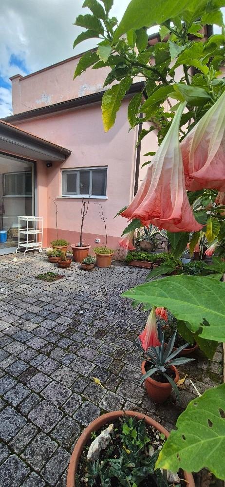 Immagine 22 di Villa in vendita  a Pisa