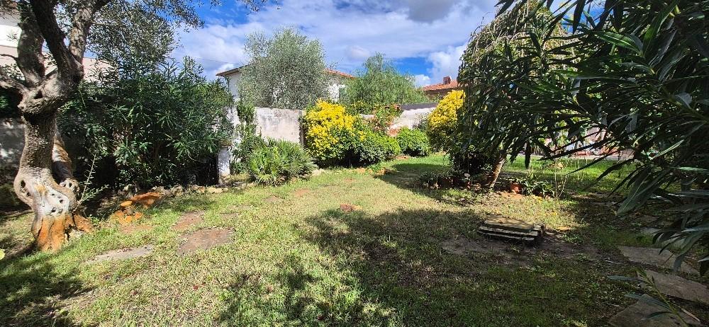 Immagine 6 di Villa in vendita  a Pisa