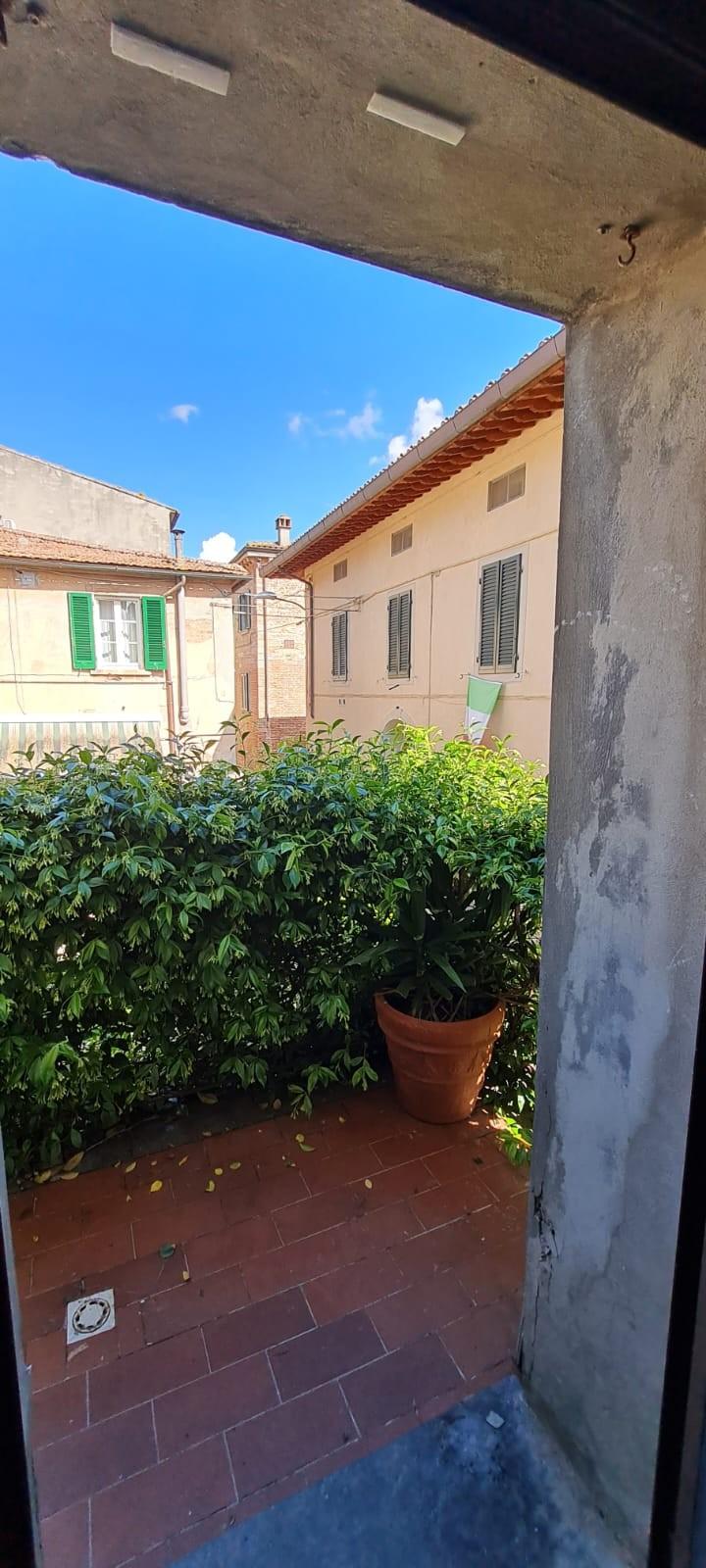 Immagine 7 di Appartamento in vendita  a Terricciola