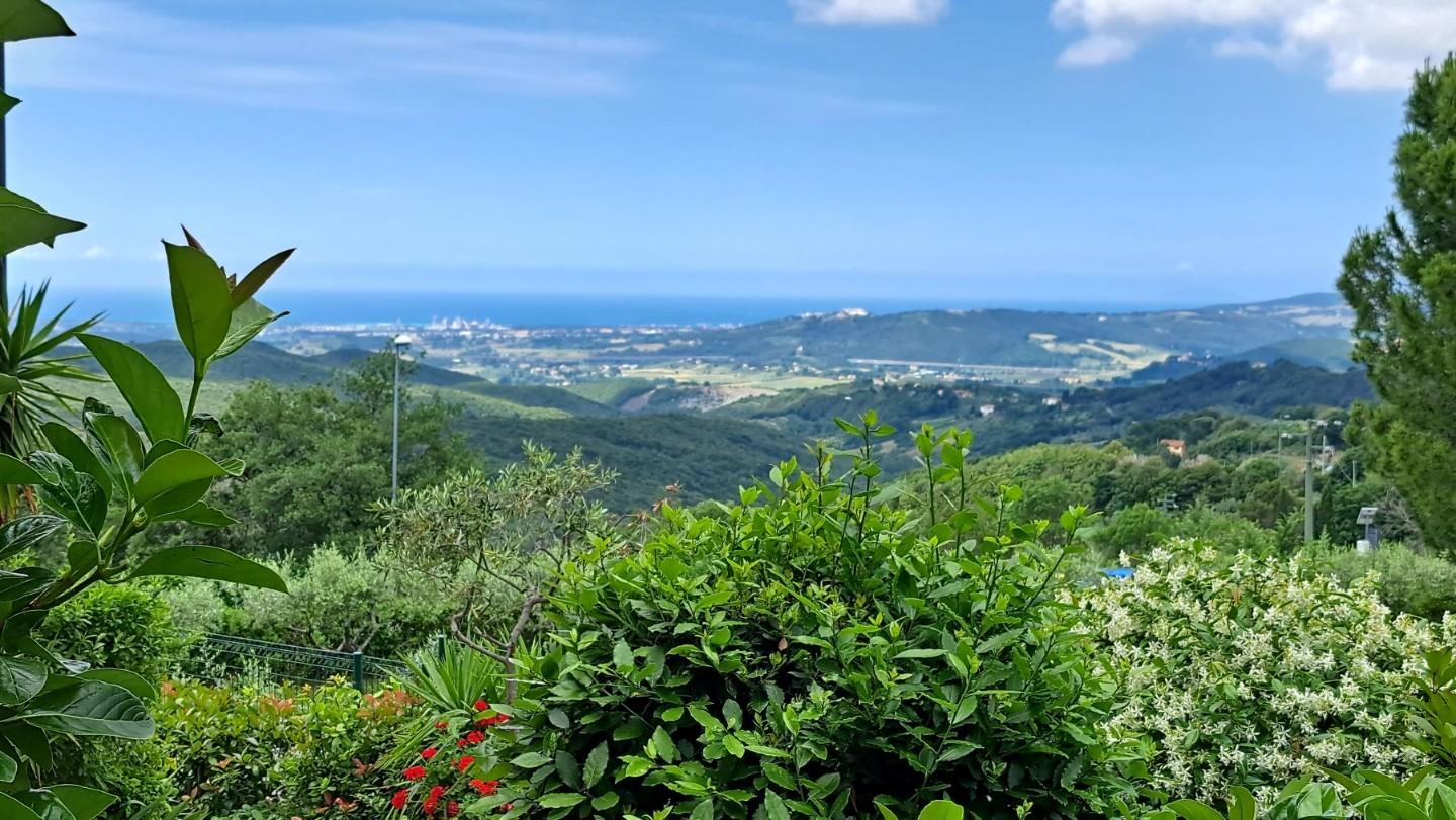 Immagine 20 di Appartamento in vendita  a Castellina Marittima