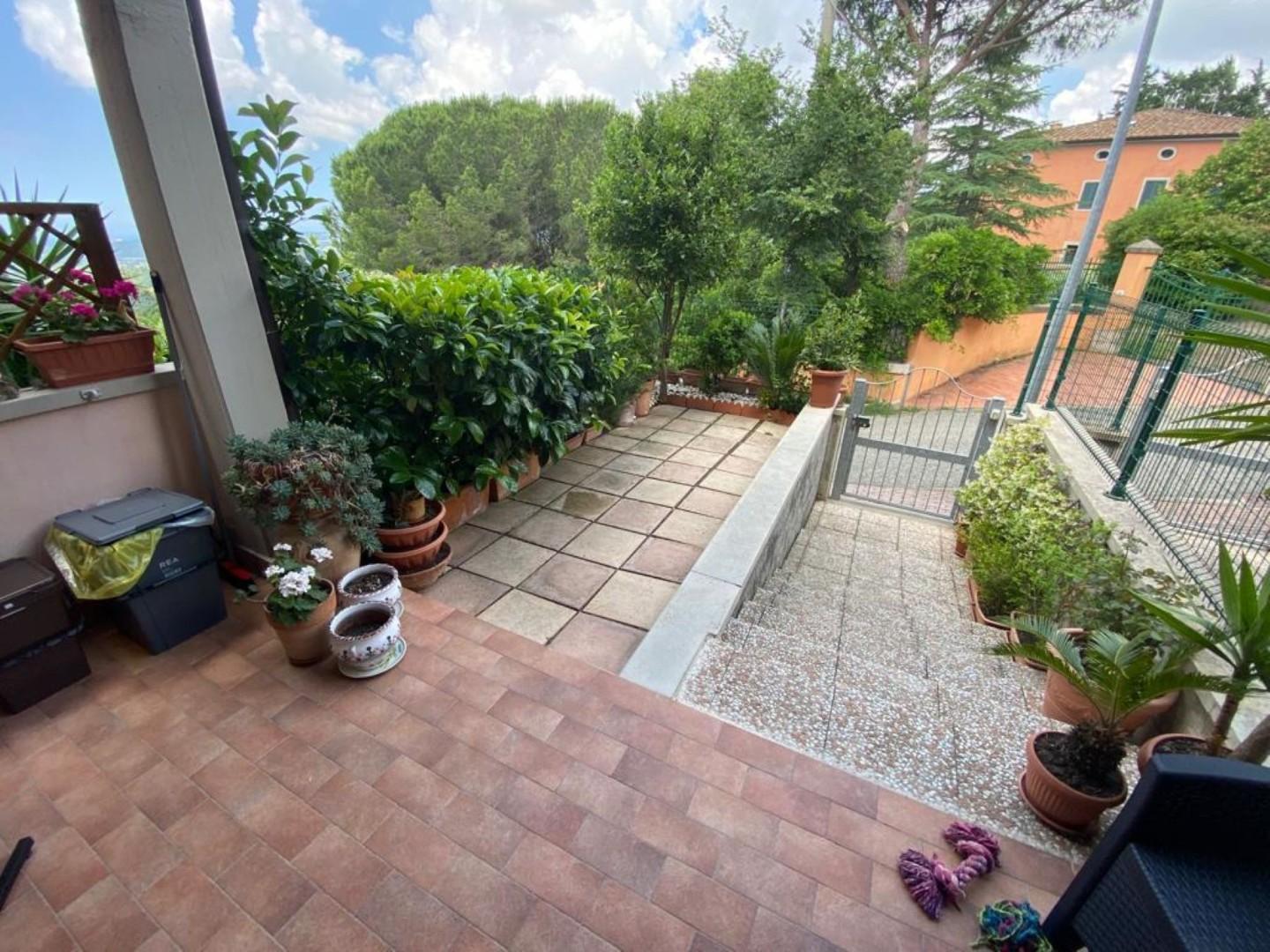 Immagine 5 di Appartamento in vendita  a Castellina Marittima