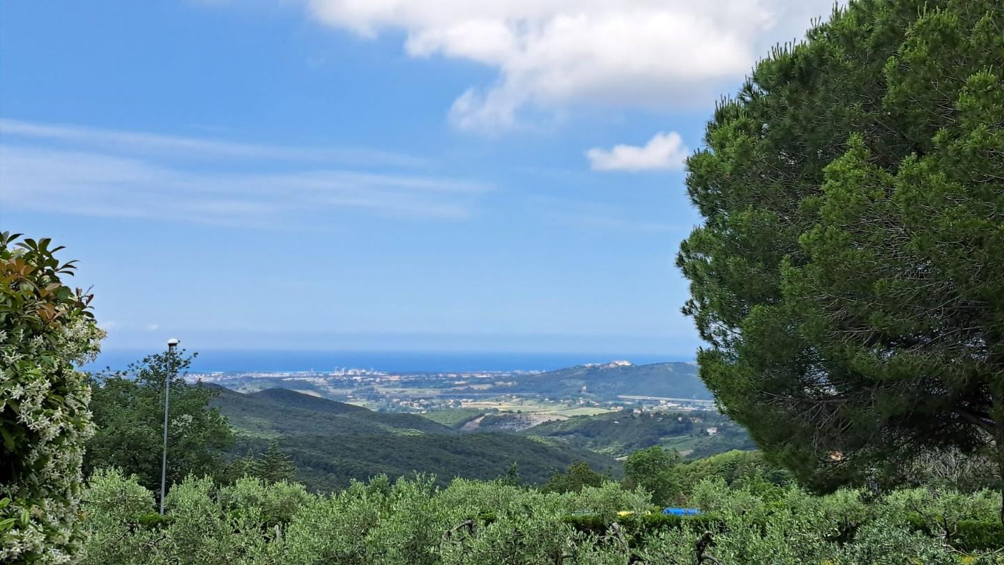 Immagine 3 di Appartamento in vendita  a Castellina Marittima