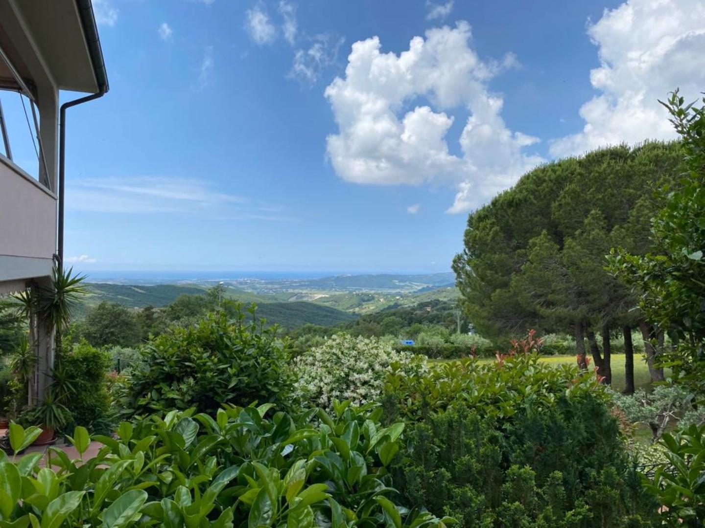 Immagine 2 di Appartamento in vendita  a Castellina Marittima