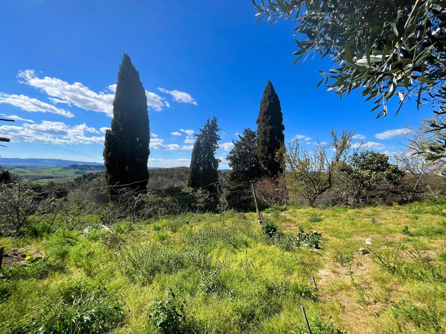 Immagine 3 di Casa indipendente in vendita  a Peccioli