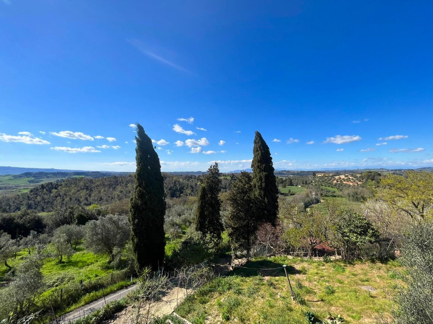 Immagine 21 di Casa indipendente in vendita  a Peccioli