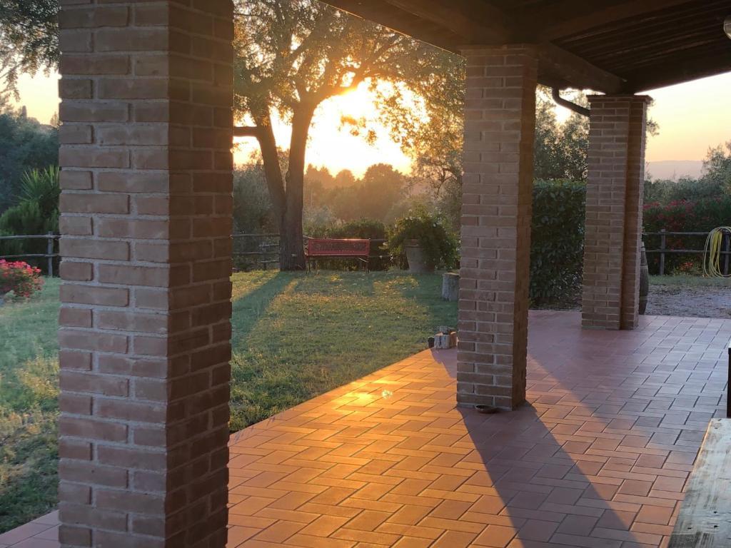 Immagine 10 di Rustico / casale in vendita  a Manciano