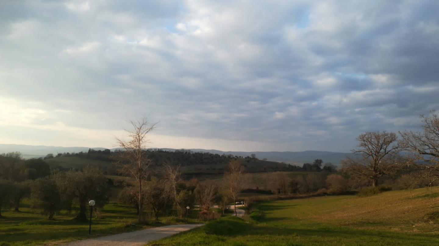 Immagine 13 di Rustico / casale in vendita  a Manciano