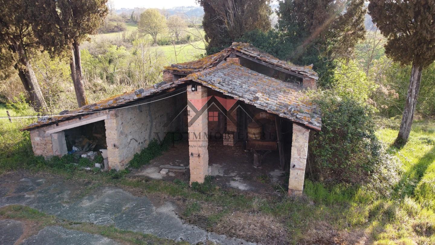 Foto annuncio 6