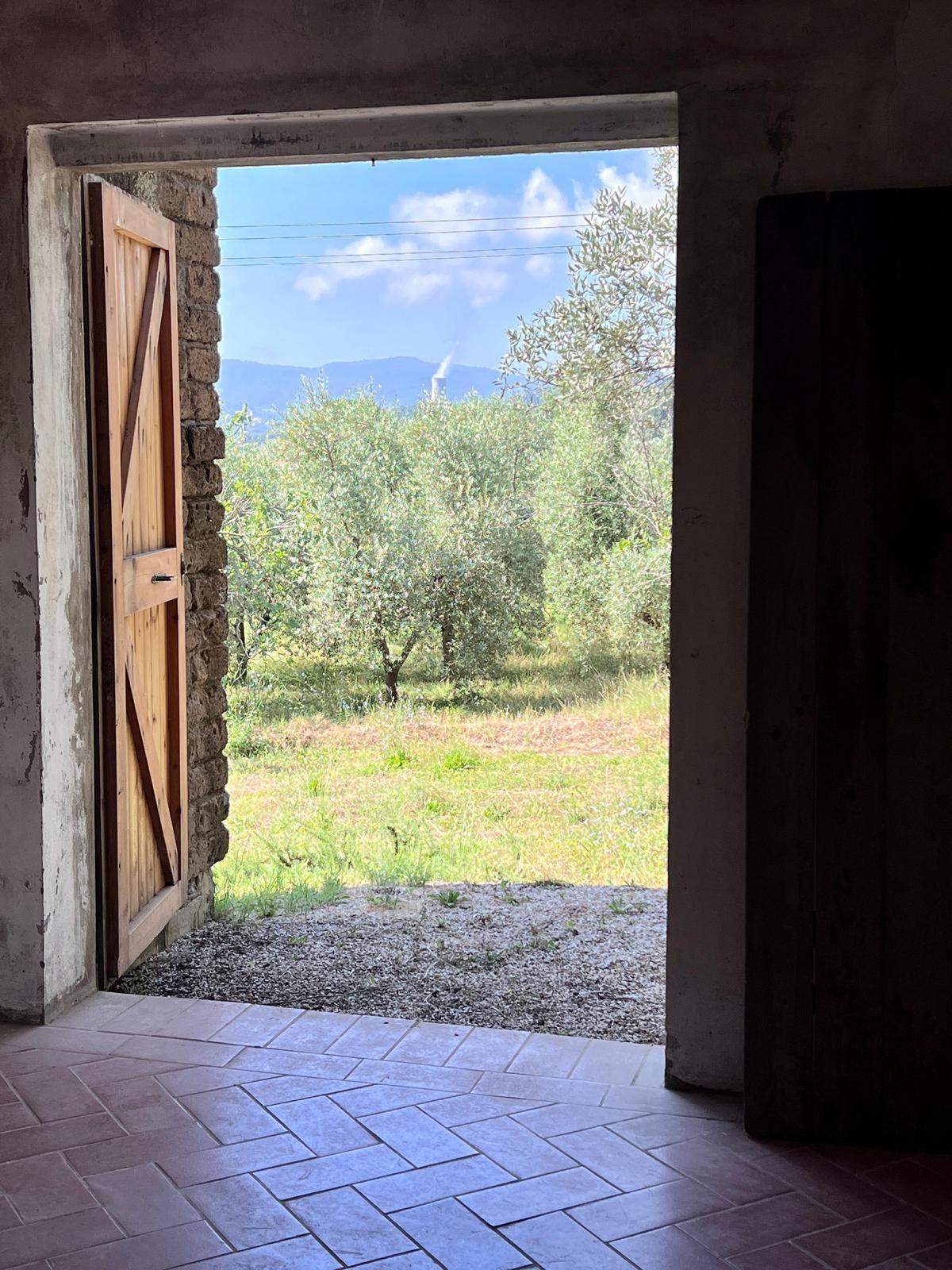 Foto annuncio 5