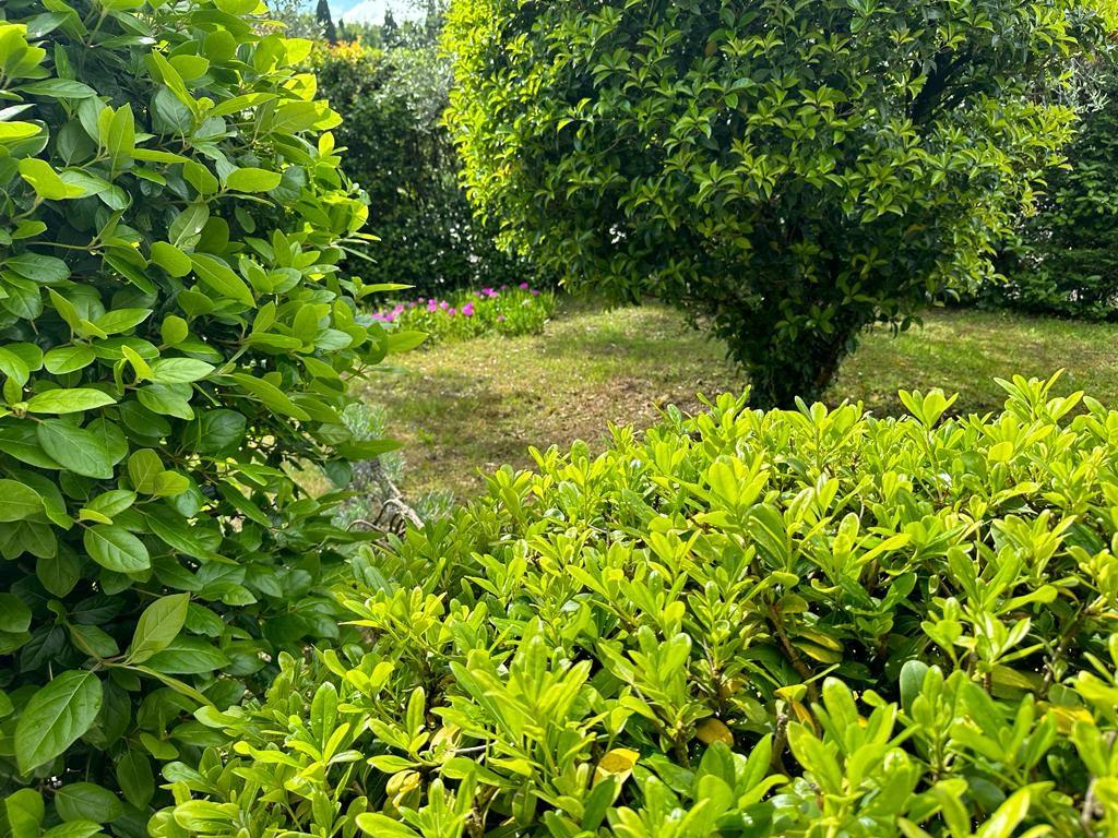 Immagine 3 di Villa in vendita  a Cerreto Guidi