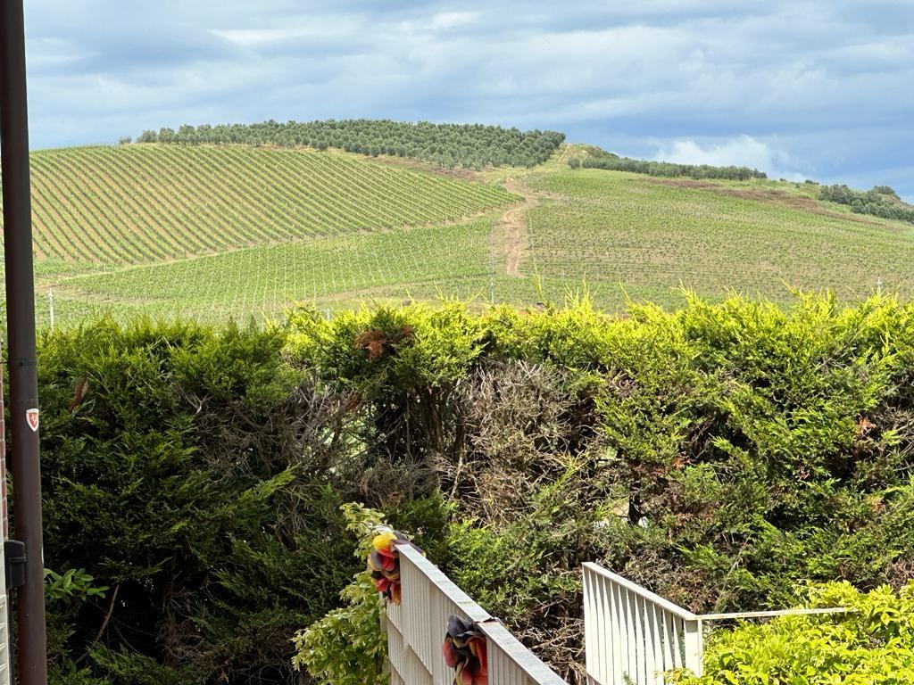 Immagine 17 di Villa in vendita  a Cerreto Guidi