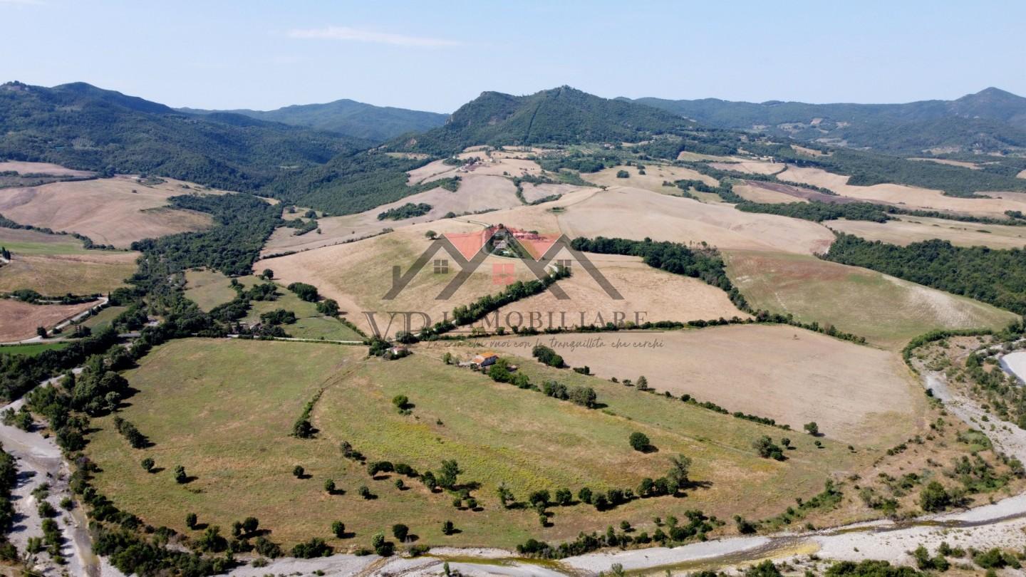 Foto annuncio 8