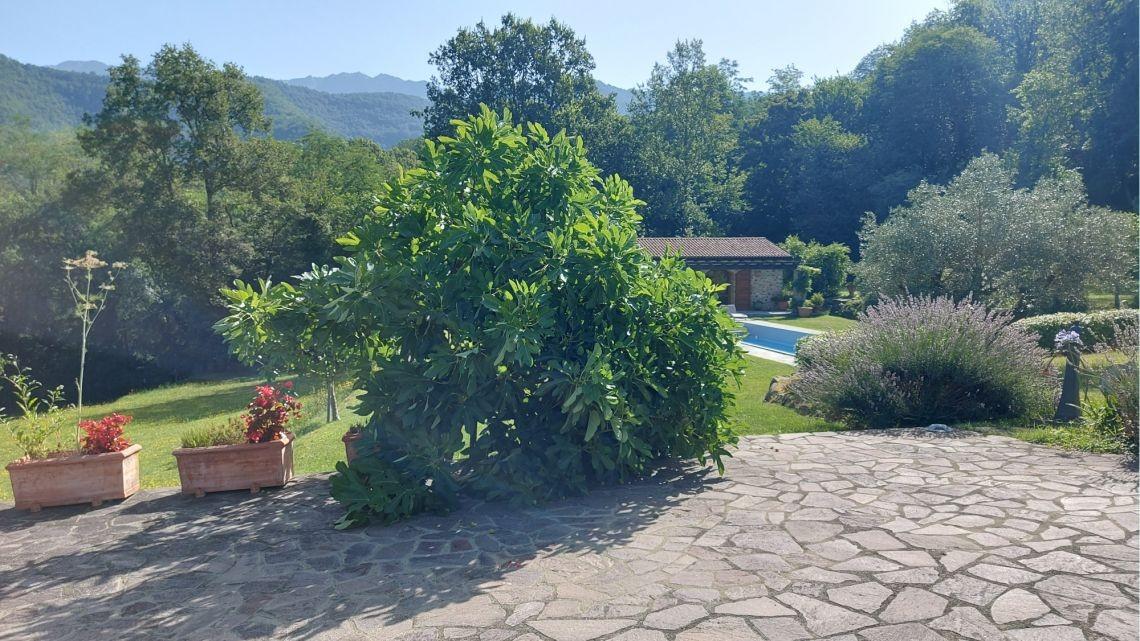 Foto annuncio 9