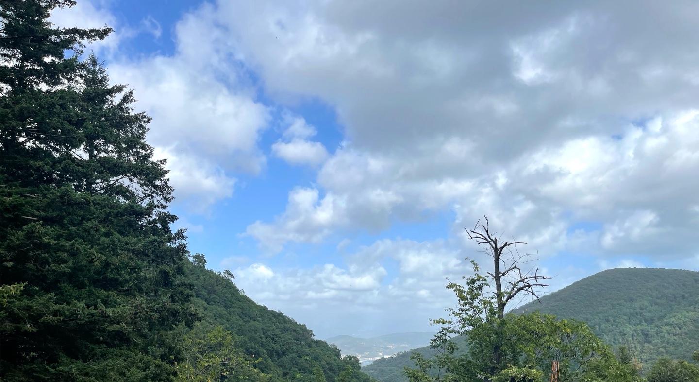 Immagine 9 di Casa indipendente in vendita  a La Spezia