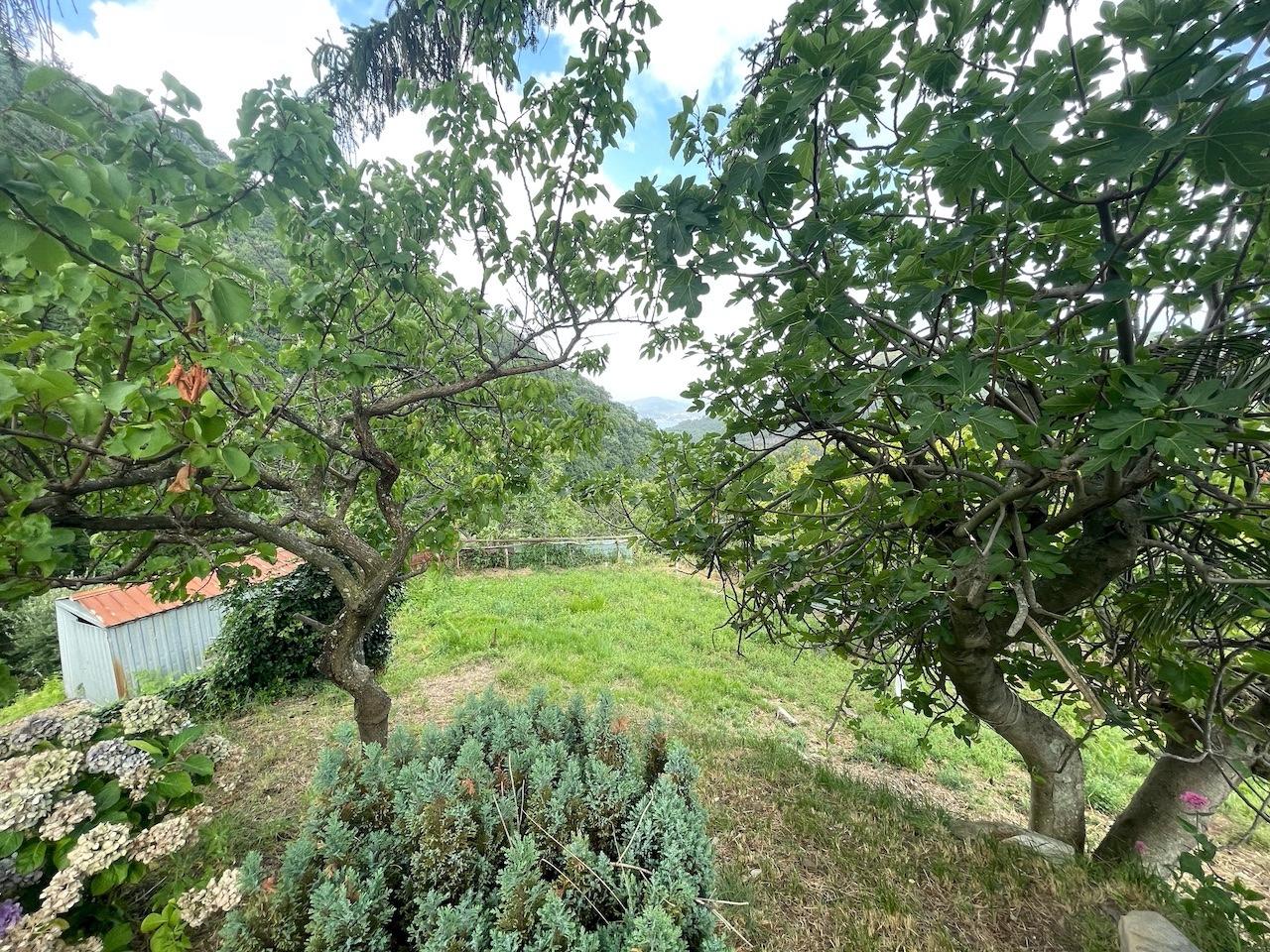 Immagine 11 di Casa indipendente in vendita  a La Spezia