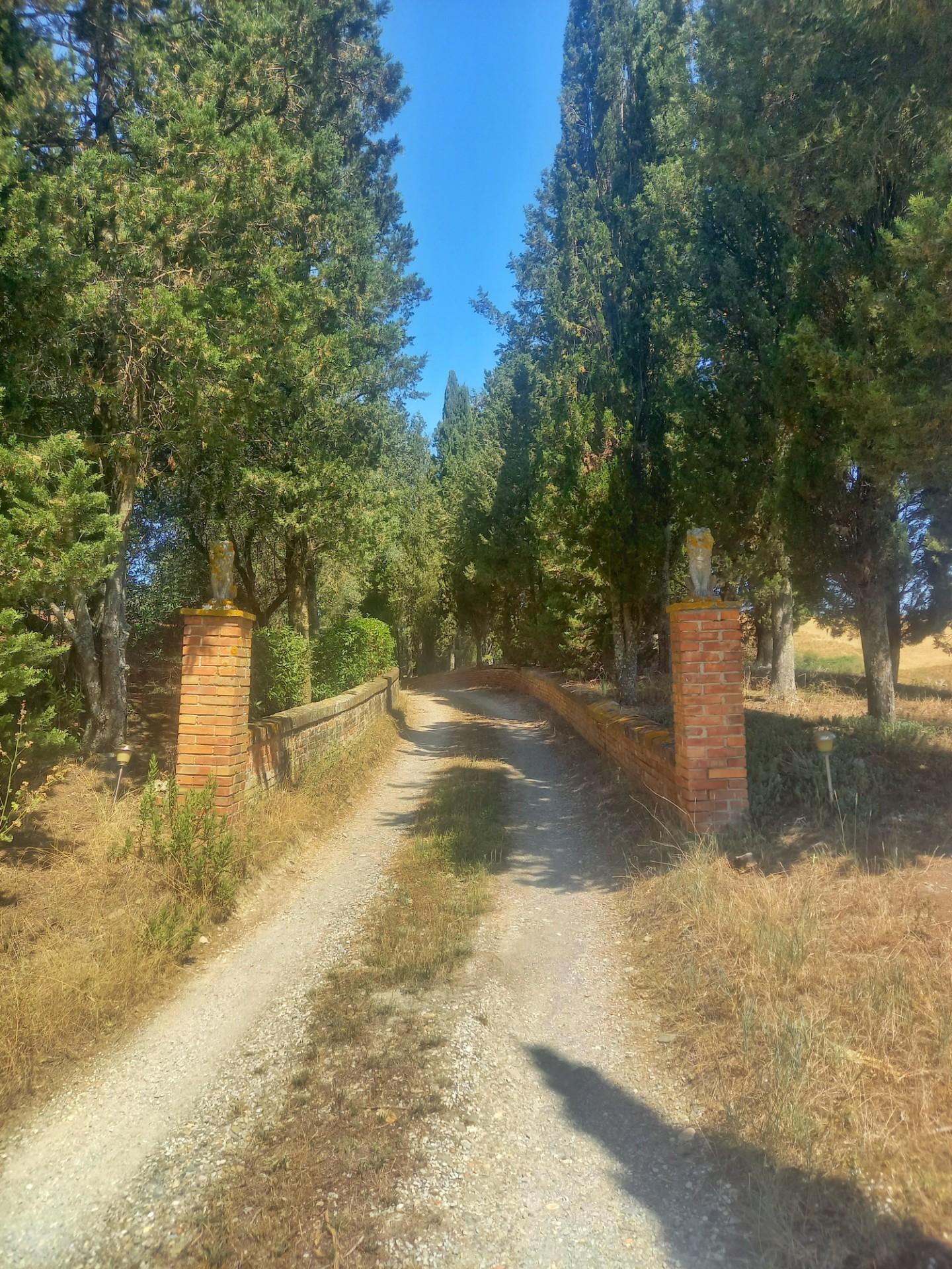 Immagine 32 di Casa colonica in vendita  a Montaione