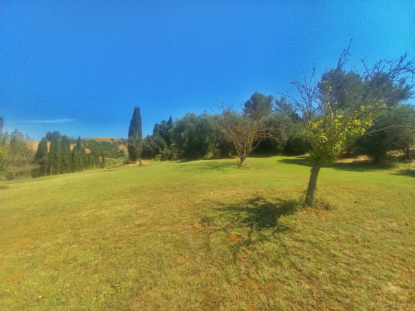 Immagine 27 di Casa colonica in vendita  a Montaione