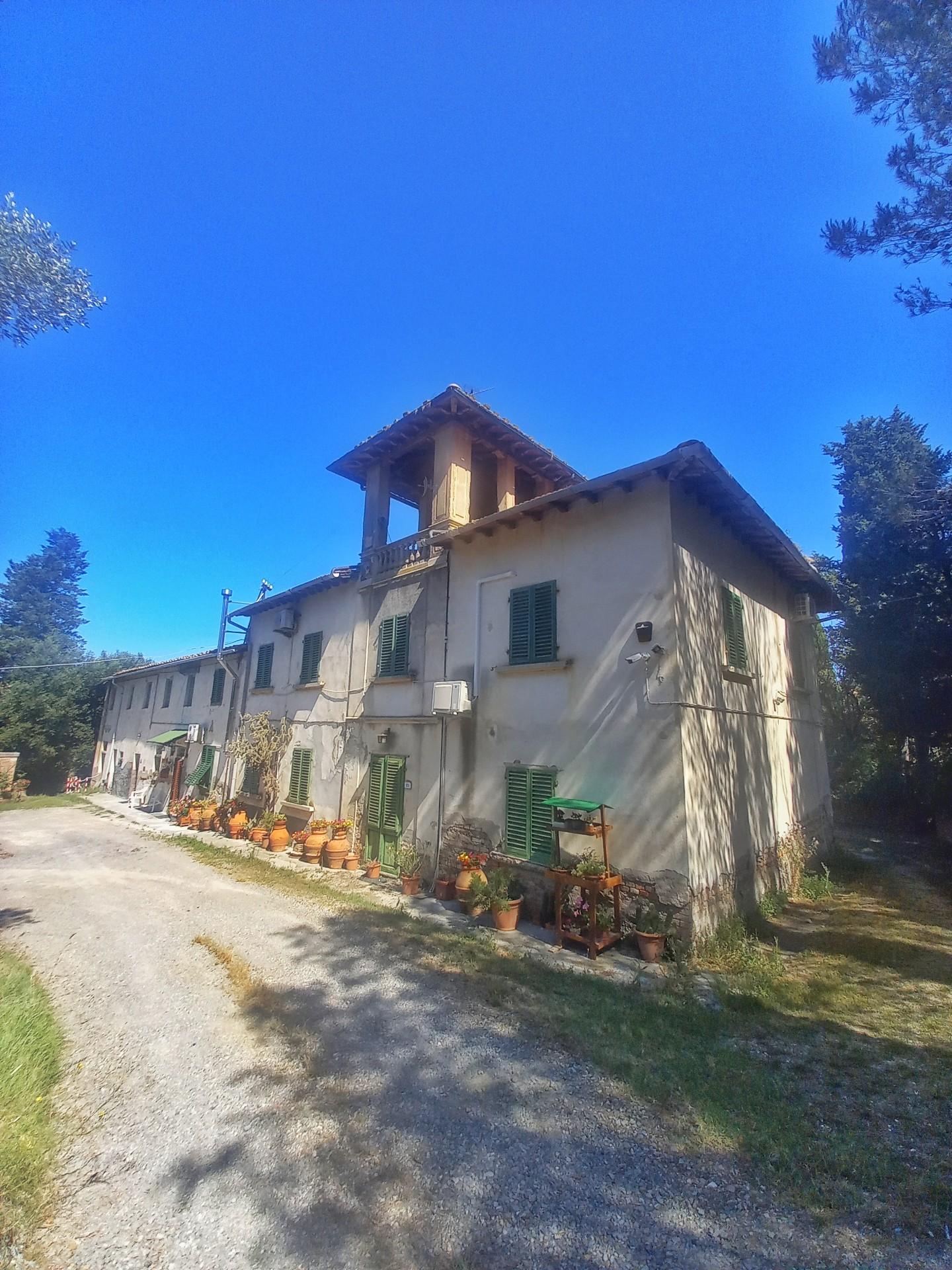 Immagine 3 di Casa colonica in vendita  a Montaione