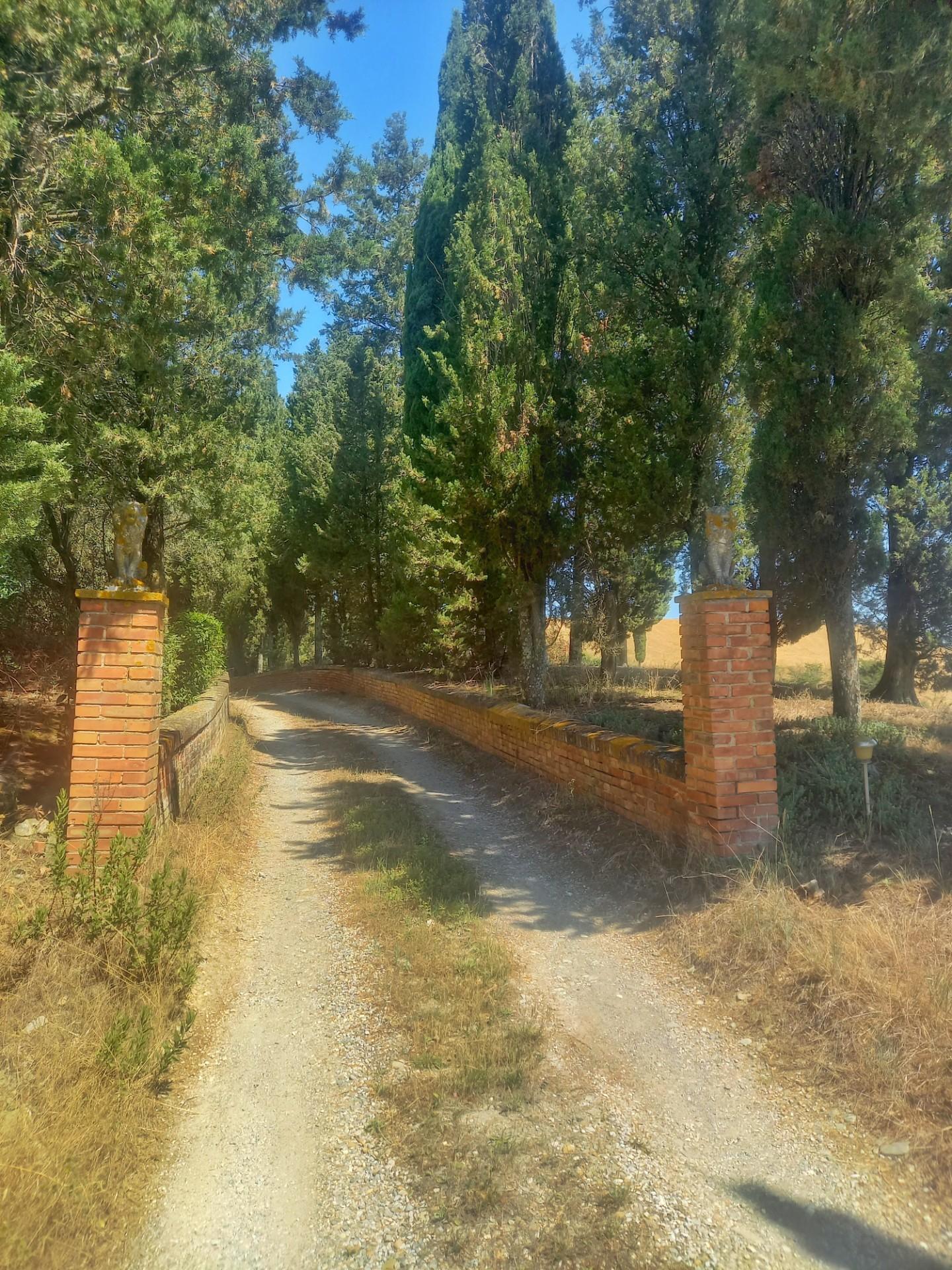 Immagine 33 di Casa colonica in vendita  a Montaione