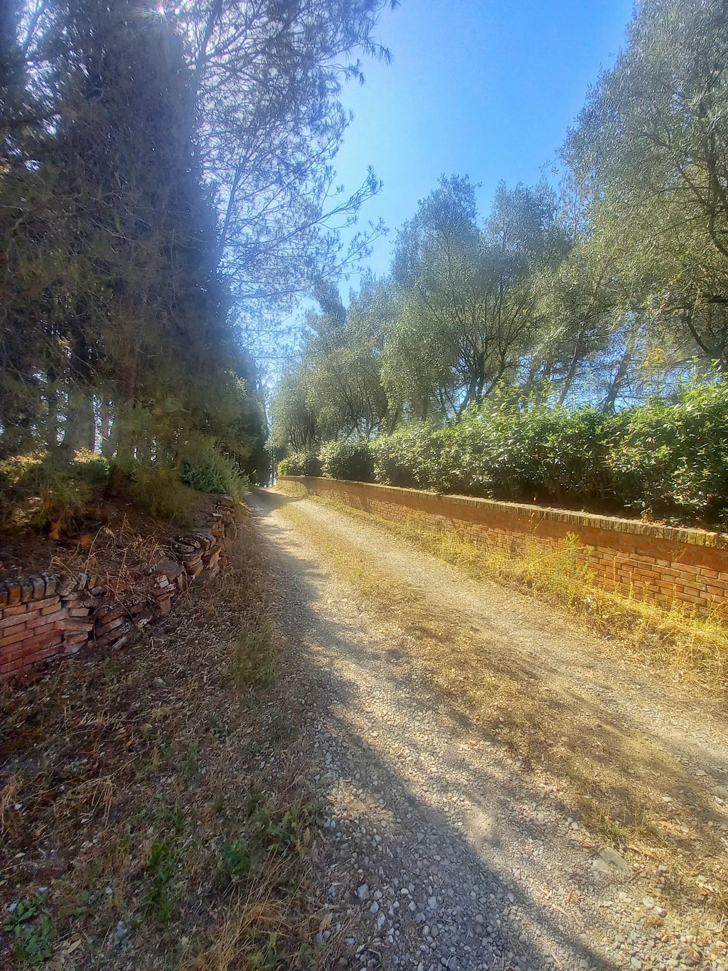 Immagine 21 di Casa colonica in vendita  a Montaione